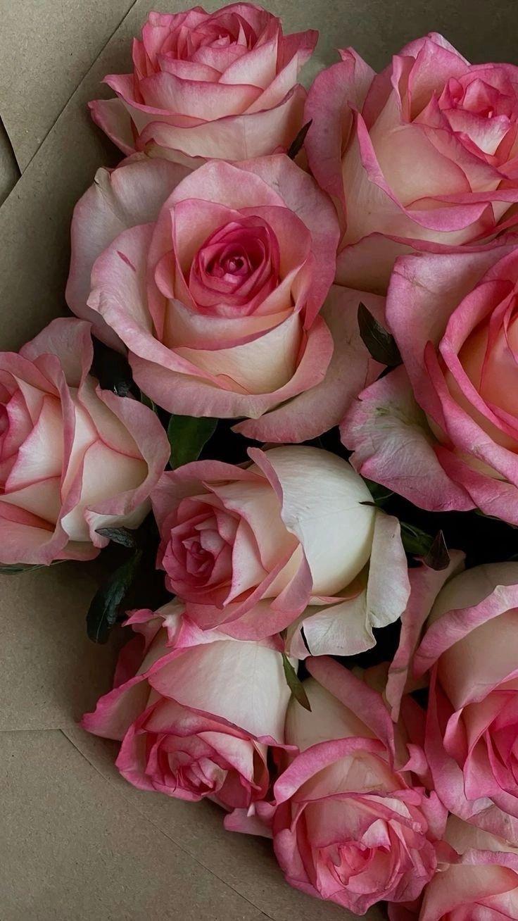 Garden's Symphony in Pastel Hues
